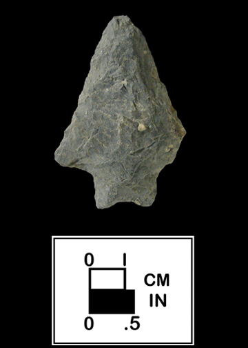Stanly point from the Heise Collection Site 18CRX52-1.